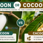 cocoon-vs-cacoon-correct-spelling