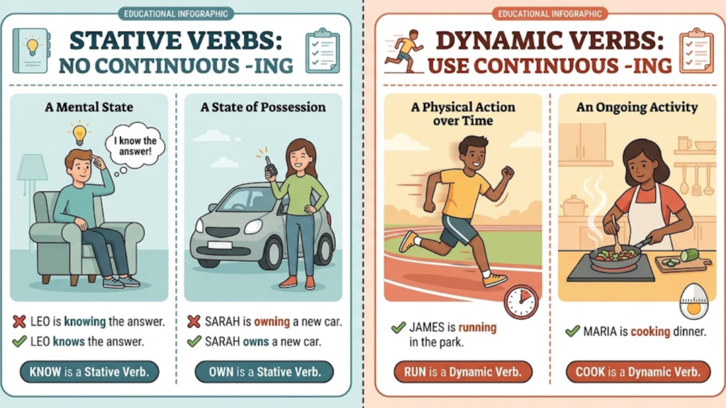 Side-by-side comparison chart showing why stative verbs like know and own do not take continuous -ing form, unlike dynamic verbs like run and cook.