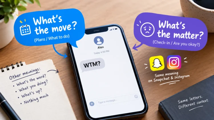WTM meaning in text showing “What’s the move?” and “What’s the matter?” with Snapchat and Instagram icons.